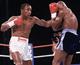 NJBOXER Image
